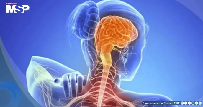 Científicos descubren que la Esclerosis Lateral Amiotrófica tendría un componente autoinmune