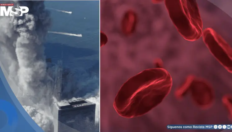 Hallan mutaciones vinculadas al polvo tóxico que elevan el riesgo de leucemia Hallan mutaciones vinculadas al polvo tóxico que elevan el riesgo de leucemia