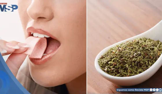 Desarrollan chicle que detecta la gripe al liberar sabor a tomillo: identifica el virus antes de síntomas