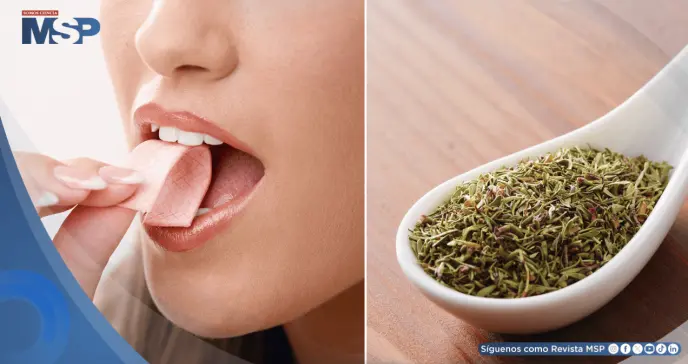 Desarrollan chicle que detecta la gripe al liberar sabor a tomillo: identifica el virus antes de síntomas