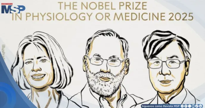 Nobel de Medicina 2025 premia a los descubridores de las células T: claves en enfermedades autoinmunes