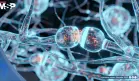 AbbVie solicita a la FDA aprobación de tavapadón para tratar la enfermedad de Parkinson