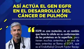 Así actúa el gen EGFR en el desarrollo del cáncer de pulmón