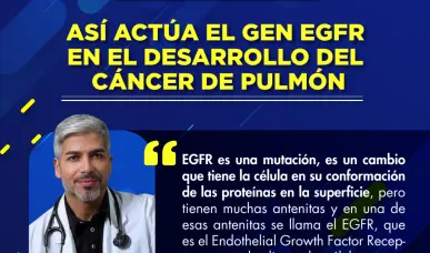 As&iacute; act&uacute;a el gen EGFR en el desarrollo del c&aacute;ncer de pulm&oacute;n