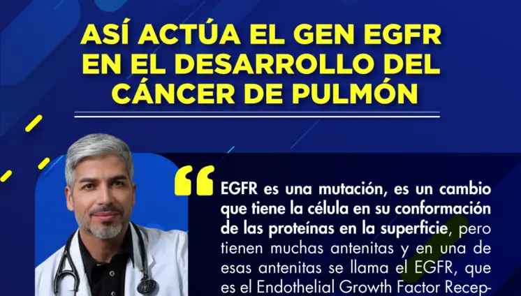 Así actúa el gen EGFR en el desarrollo del cáncer de pulmón Así actúa el gen EGFR en el desarrollo del cáncer de pulmón