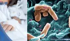 Inteligencia artificial logra predecir sepsis infantil 48 horas antes de su aparición