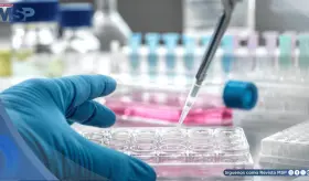 FDA aprueba el regreso de Blenrep: reduciría 51 % del riesgo de muerte en mieloma múltiple