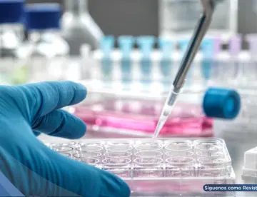 FDA aprueba el regreso de Blenrep: reduciría 51 % del riesgo de muerte en mieloma múltiple