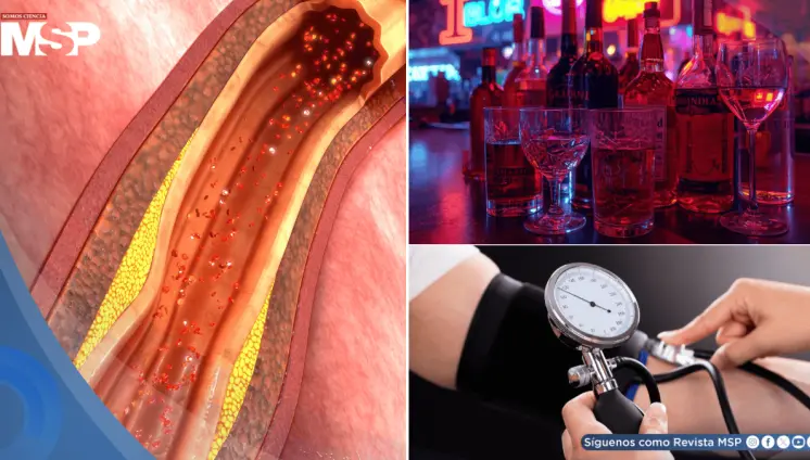 El alcohol elevaría la presión arterial incluso en consumo moderado, confirma estudio