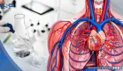 Advierten que microplásticos en las arterias podrían duplicar el riesgo de infartos y dañar el corazón