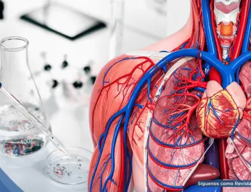 Advierten que microplásticos en las arterias podrían duplicar el riesgo de infartos y dañar el corazón