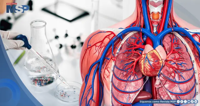 Advierten que microplásticos en las arterias podrían duplicar el riesgo de infartos y dañar el corazón Advierten que microplásticos en las arterias podrían duplicar el riesgo de infartos y dañar el corazón