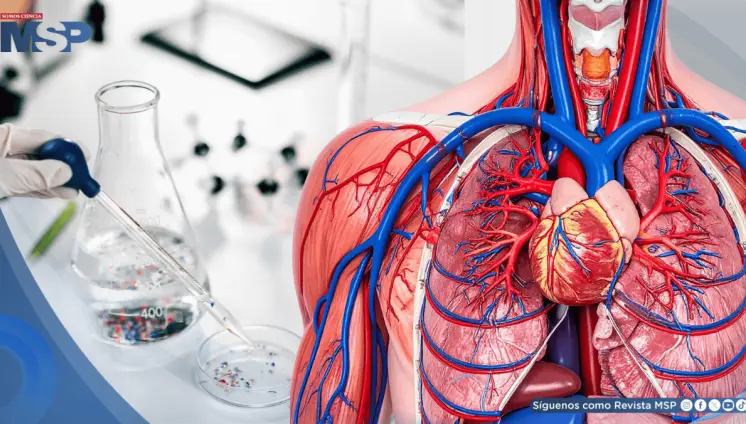 Advierten que microplásticos en las arterias podrían duplicar el riesgo de infartos y dañar el corazón Advierten que microplásticos en las arterias podrían duplicar el riesgo de infartos y dañar el corazón