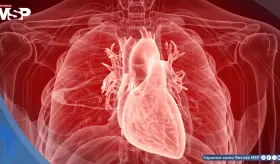 Células madre podrían reparar el corazón tras un infarto y reducen el riesgo de insuficiencia cardíaca