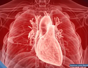 Células madre podrían reparar el corazón tras un infarto y reducen el riesgo de insuficiencia cardíaca