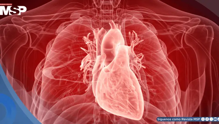 Células madre podrían reparar el corazón tras un infarto y reducen el riesgo de insuficiencia cardíaca