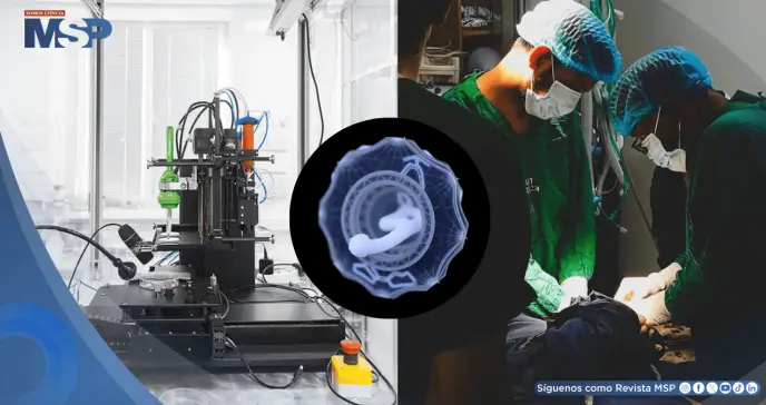 Desarrollan robot que reconstruye las cuerdas vocales con hidrogeles durante cirugía Desarrollan robot que reconstruye las cuerdas vocales con hidrogeles durante cirugía