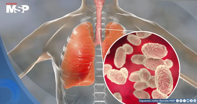 Tos convulsa: Cómo reconocer la enfermedad y prevenirla ante el aumento de incidencia  Tos convulsa: Cómo reconocer la enfermedad y prevenirla ante el aumento de incidencia