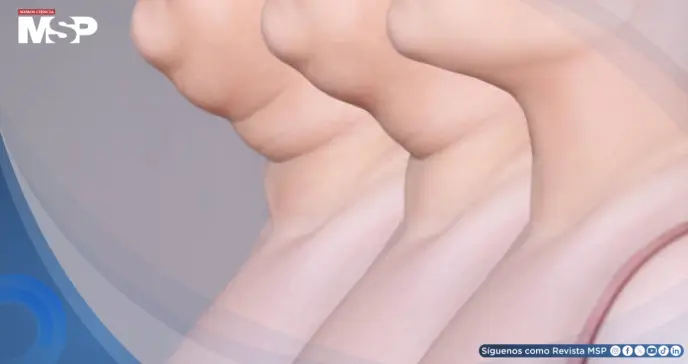 Tu cuello habla de tu salud: Su grosor puede revelar exceso de grasa y riesgo de enfermedades silenciosas Tu cuello habla de tu salud: Su grosor puede revelar exceso de grasa y riesgo de enfermedades silenciosas