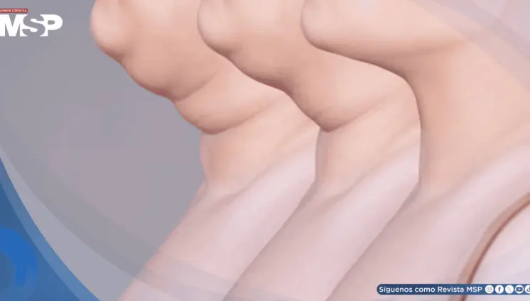 Tu cuello habla de tu salud: Su grosor puede revelar exceso de grasa y riesgo de enfermedades silenciosas