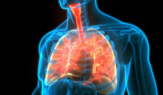 ¿Dificultad para respirar? Estas son las señales de alarma y las medidas para prevenir riesgos