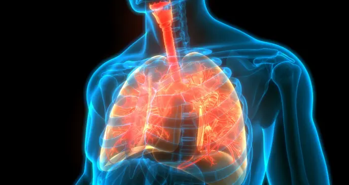 ¿Dificultad para respirar? Estas son las señales de alarma y las medidas para prevenir riesgos