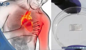 Desarrollan parche inteligente que podría regenerar el corazón tras un infarto