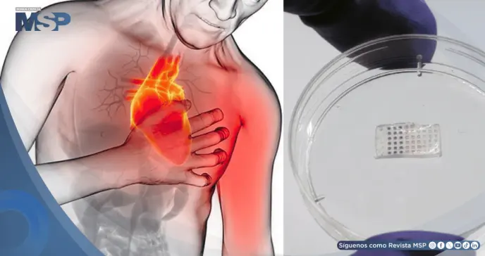 Desarrollan parche inteligente que podría regenerar el corazón tras un infarto