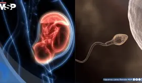 Hito médico: Inteligencia artificial logra primer embarazo exitoso en pareja con infertilidad severa