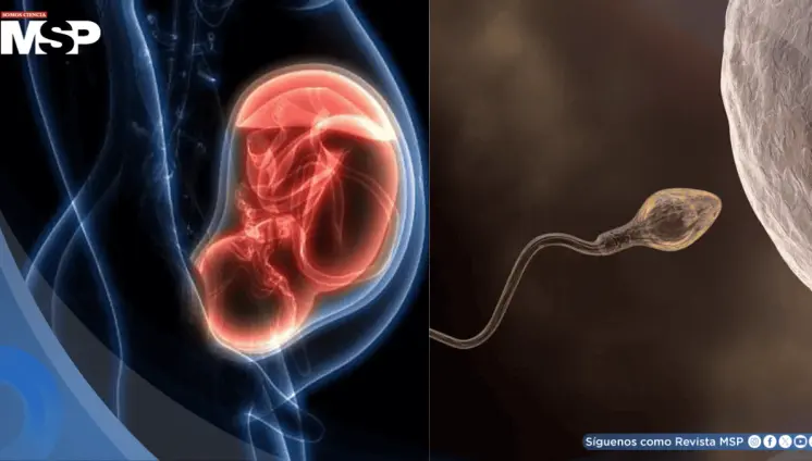 Hito médico: Inteligencia artificial logra primer embarazo exitoso en pareja con infertilidad severa