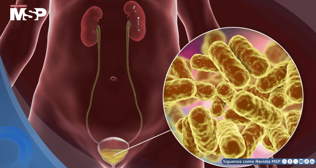 Ciclismo o usar antidepresivos: Hábitos que podrían aumentar el riesgo de infección urinaria