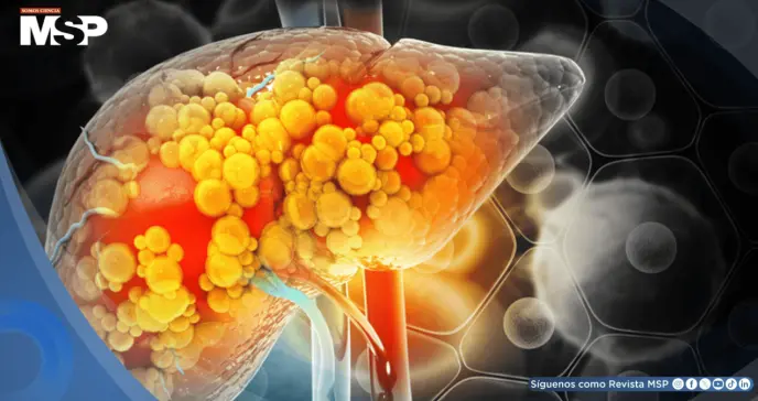 Descubren que este químico común de tintorería podría triplicar el riesgo de fibrosis hepática