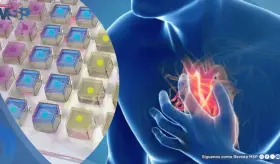 Nuevo parche cardíaco repara tejido dañado tras un infarto al liberar tres fármacos en fases controladas