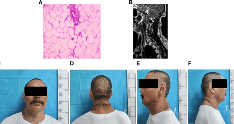 imagen-cuerpo imagen-cuerpo