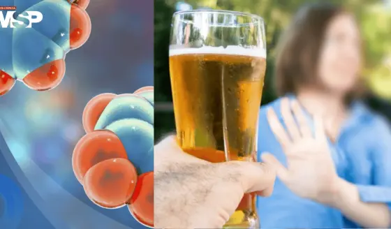 Nuevo compuesto experimental reduce el deseo de consumir alcohol 