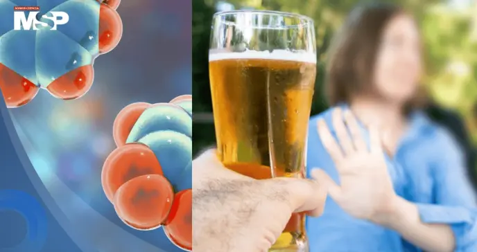 Nuevo compuesto experimental reduce el deseo de consumir alcohol Nuevo compuesto experimental reduce el deseo de consumir alcohol