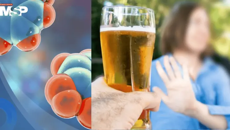 Nuevo compuesto experimental reduce el deseo de consumir alcohol Nuevo compuesto experimental reduce el deseo de consumir alcohol