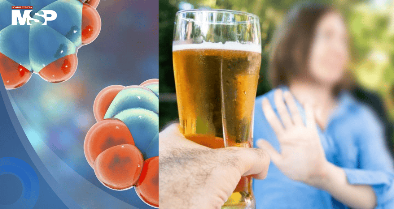 Nuevo compuesto experimental reduce el deseo de consumir alcohol 