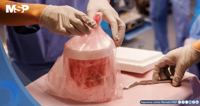 Riñón porcino mínimamente modificado opera con normalidad durante 60 días en receptor humano Riñón porcino mínimamente modificado opera con normalidad durante 60 días en receptor humano