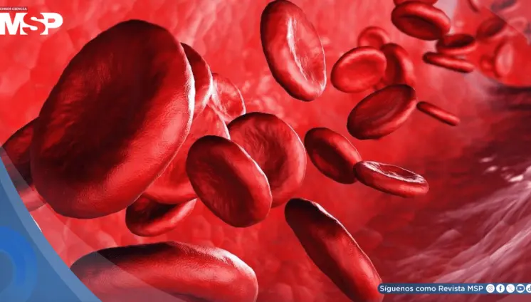 Usar vinagre de manzana para controlar la glucosa carece de evidencia y es riesgoso para diabéticos