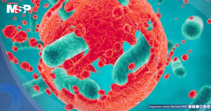 Detectan bacterias activas en glioblastomas y metástasis que afectan la respuesta a la quimioterapia Detectan bacterias activas en glioblastomas y metástasis que afectan la respuesta a la quimioterapia