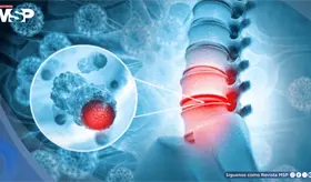 Científicos crean la primer médula ósea funcional en laboratorio, un avance contra los cánceres de sangre