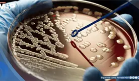 Alertan sobre el aumento de bacterias resistentes a antibióticos en República Dominicana