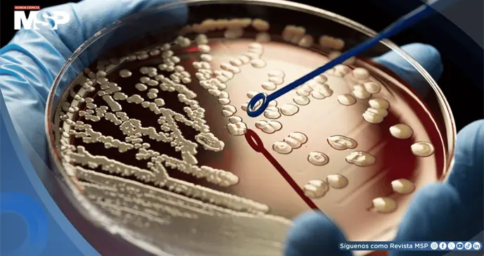 Alertan sobre el aumento de bacterias resistentes a antibióticos en República Dominicana
