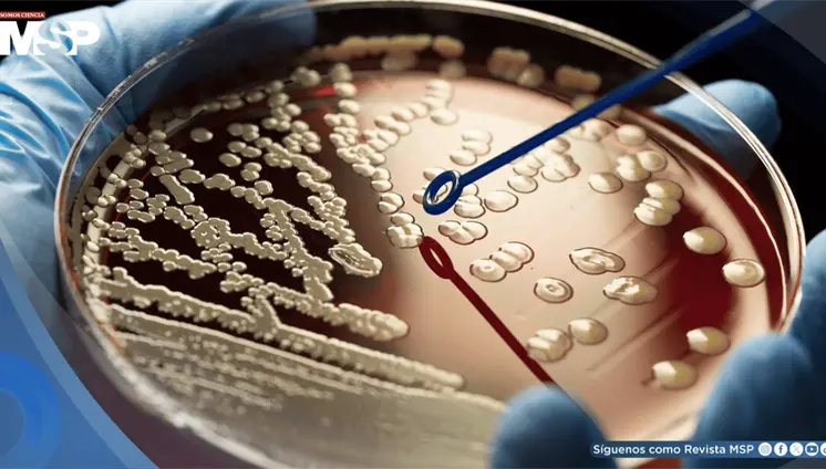Alertan sobre el aumento de bacterias resistentes a antibióticos en República Dominicana Alertan sobre el aumento de bacterias resistentes a antibióticos en República Dominicana