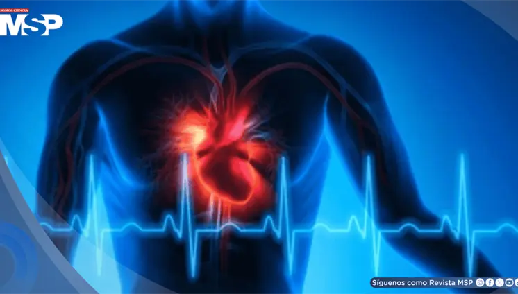 Betabloqueantes no son necesarios tras un infarto si función cardiaca es normal
