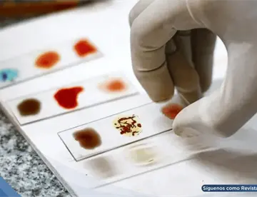 Científicos buscan cultivar en el laboratorio la sangre más rara del mundo, el valioso tipo Rh nulo