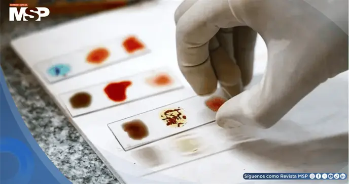 Científicos buscan cultivar en el laboratorio la sangre más rara del mundo, el valioso tipo Rh nulo