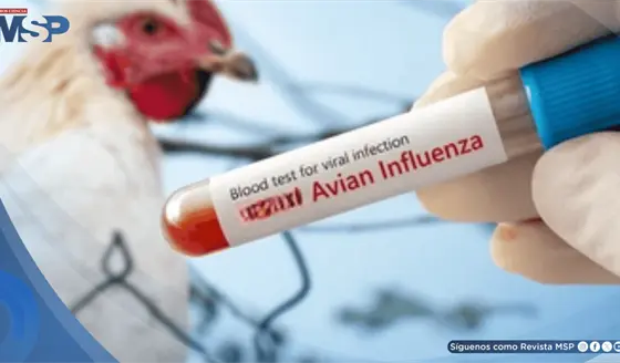 Confirman la primera muerte humana por gripe aviar H5N5 en Estados Unidos