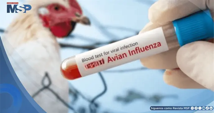 Confirman la primera muerte humana por gripe aviar H5N5 en Estados Unidos Confirman la primera muerte humana por gripe aviar H5N5 en Estados Unidos